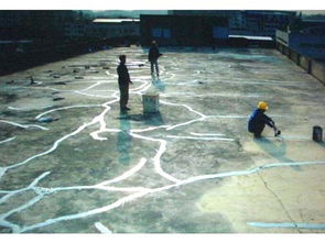 珠海外墻清洗、屋面整體防水補(bǔ)漏及管道疏通綜合服務(wù)解析