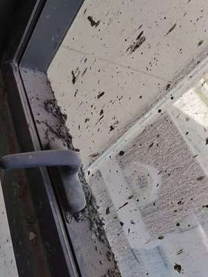 西寧專業保潔與維修服務指南 開荒、精保潔、清洗及防水補漏